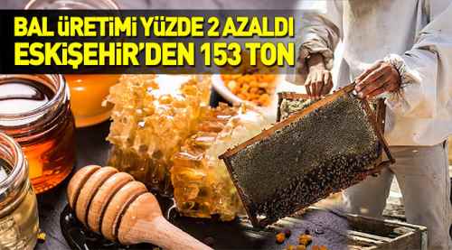 2016'da Eskişehir'de 153 ton bal üretildi