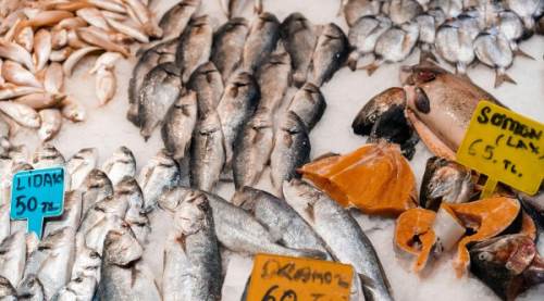 2026 Balık Av Yasağı Tarihi Açıklandı! 5 Ay Sürecek Yasak Ne Zaman Başlıyor, Ne Zaman Bitiyor?