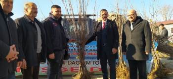 25 Üreticiye 3 Bin 560 Adet Kütahya Cinsi Vişne Fidanı Dağıtıldı
