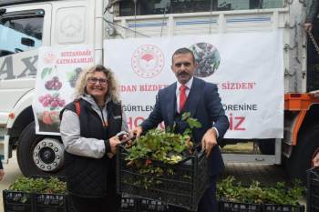 26 Üreticiye 13 Bin Böğürtlen Fidanı Dağıtıldı
