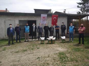 26 Üreticiye Çerezlik Kabak Tohumu Dağıtıldı
