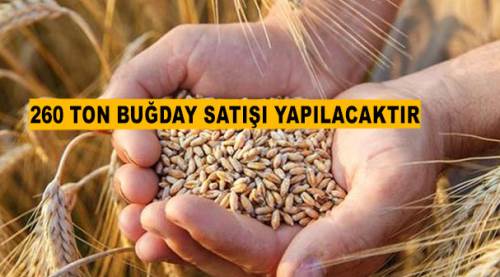 260 ton buğday satışı yapılacaktır