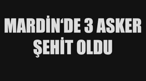 3 ASKER ŞEHİT OLDU