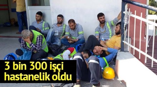 3 bin 300 işçi gıda zehirlenmesi şüphesiyle hastaneye gitti