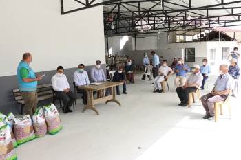 33 Çiftçiye ’’Zirve Fasulye’’ Tohumu Dağıtıldı
