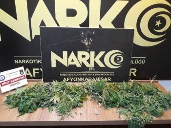 34 Kök Hint Keneviri Ele Geçirildi
