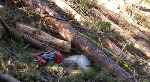 4 gündür aranan çobanın feci ölümü