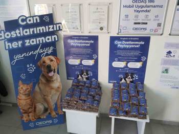4 Nisan Dünya Sokak Hayvanları Günü Dolayısıyla Farkındalık Oluşturan Çalışmalar Yapıldı
