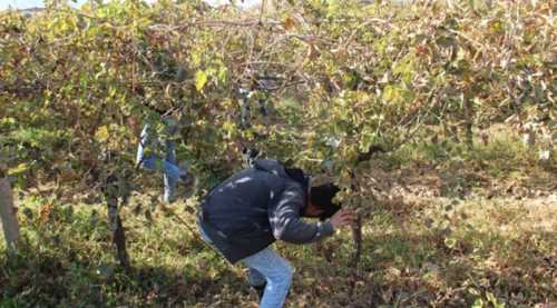 4 yaşındaki Irmak'ın cansız bedeni bulundu