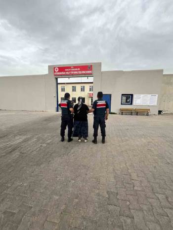 4 Yıl 2 Ay Hapis Cezası İle Aranan Şahıs Köyde Yakalandı
