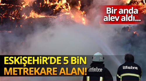 5 bin metrekare alan alev alev yandı