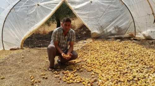 5 bin TL maaşla işçi bulamıyorlar