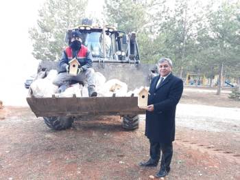 50 Adet Kuş Evi Ağaçlara Bırakıldı
