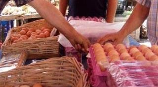 50 tavukla başladı, şimdiyse...