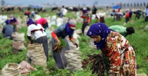 500 işçi lazım 82 başvuru var