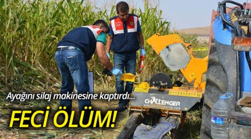 55 yaşındaki çitçi feci şekilde can verdi