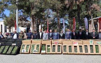 61 Bin 780 Adet Yerli Ve Milli Sebze Fidesi Dağıtıldı
