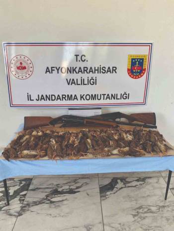 77 Bıldırcını Kaçak Avlayan İki Kişiyi Jandarma Yakaladı
