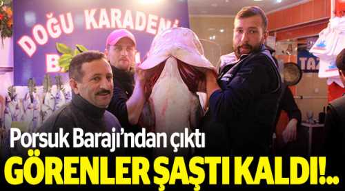 78 kiloluk balık görenleri şaşırttı