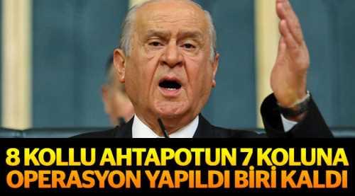 8 kollu ahtapotun 7 koluna operasyon yapıldı