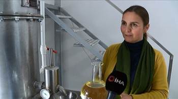 800 Liralık Lavanta Çiçeğinden 20 Bin Liralık Yağ Elde Ediliyor
