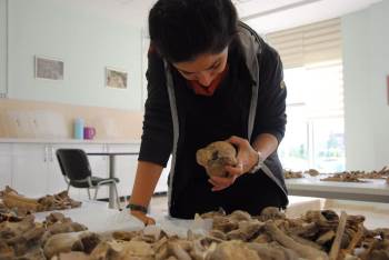 9 Bin Yıl Önce Yaşayanlar Keçi Ve Sığırı Evcilleştirmişler
