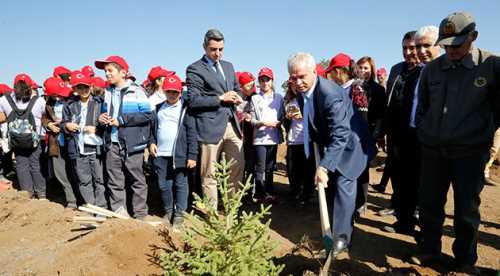 AB Bilgi Merkezinden hatıra ormanı