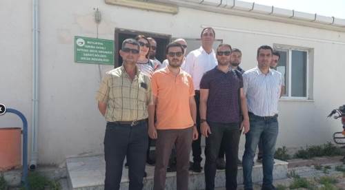 AB desteğiyle Beyliköva'da tarımın geleceği parlıyor!