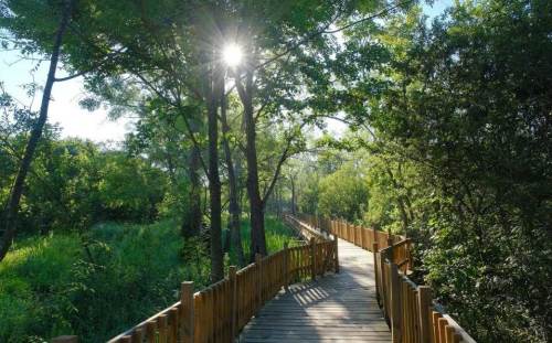 Acarlar Longozu, bayram tatilinde ziyaretçi akınına uğradı