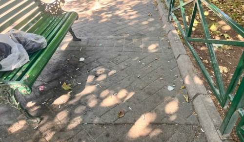 Adalar’da izmarit kirliliği vatandaşları rahatsız ediyor