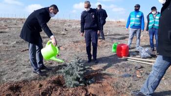 Adalet Ormanı’Na Fidan
