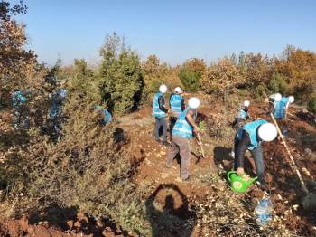 Adalet Ormanı’Na Hükümlüler Tarafından 300 Fidan Dikildi
