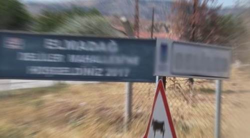 Adını duyunca gülüyorlar: "Deli mi var?"