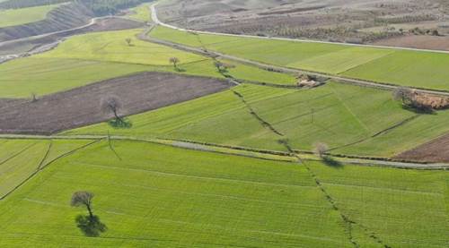 AFAD açıkladı: Yer kabuğu 7,3 metre kaydı!