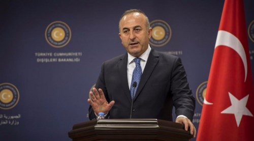 Afrin Harekatı'nın biteceği tarihi açıkladı