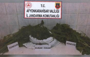Afyon’Da 1 Kilo 5 Gram Esrar, 80 Kök Kenevir Elegeçirildi
