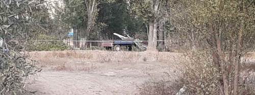 Afyon'da akıl almaz ölüm! Üzerine ağaç düştü...