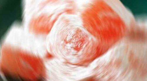 Afyon'da akıllara ziyan 'lokumlu' dolandırıcılık!