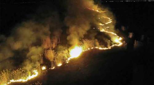 Afyon'da bir milyon dolar böyle yandı!