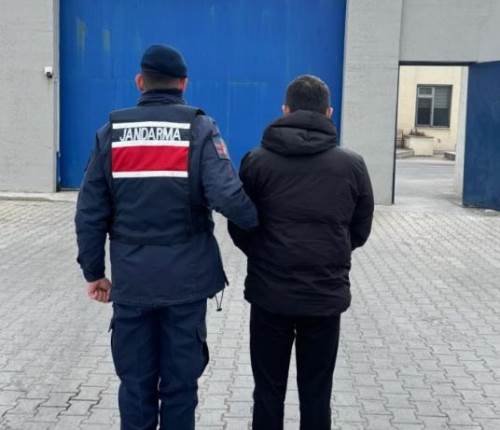 Afyon'da hayvan hırsızlığı yapan şahıs cezaevine gönderildi