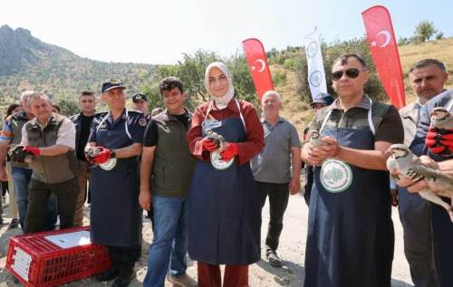 Afyon'da kenelere karşı keklik timi görevde!