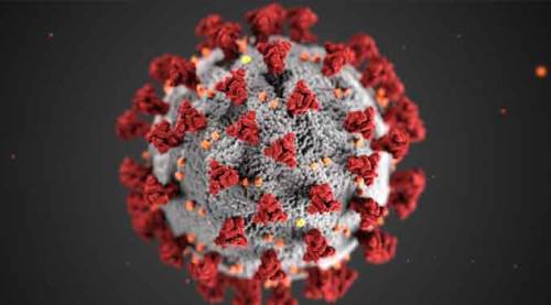 Afyon'da koronavirüs buraya giremedi!