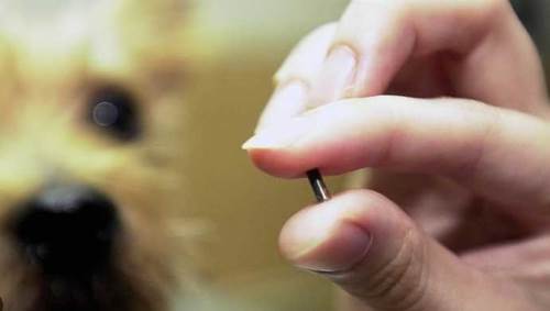 Afyon'da önemli uyarı: 31 Aralık son tarih!