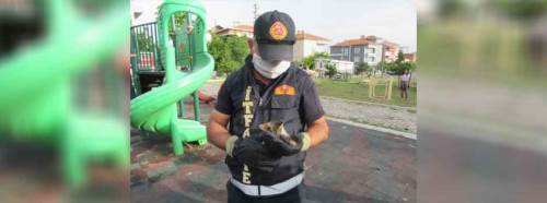 Afyon'da yavru kedi kurtarma operasyonu