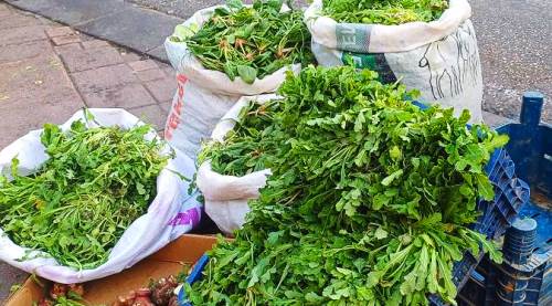 Afyon’da yetiştiriliyor Eskişehir’de satılıyor: Çok şifalı