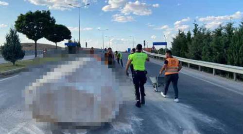 Afyon'da yolun ortasında şoke eden görüntü! Tonlarca ağırlıkta...