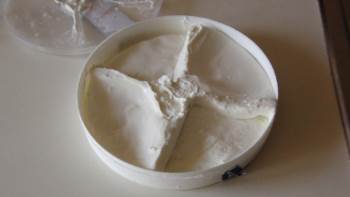 Afyon Kaymağının Lezzetinin Sırrı Yapılmasındaki Saatte Gizli
