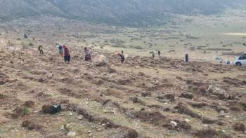 Afyon’Un Yüzölçümüne Göre Orman Varlığı Yüzde 23’Lere Çıktı
