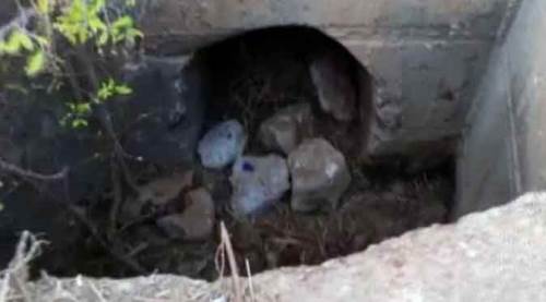 Afyonda rögardan dehşet çıktı!