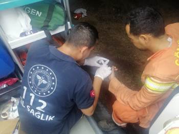 Afyonkarahisar Ambulans Ve Umke Ekipleri Yangın Bölgesinde
